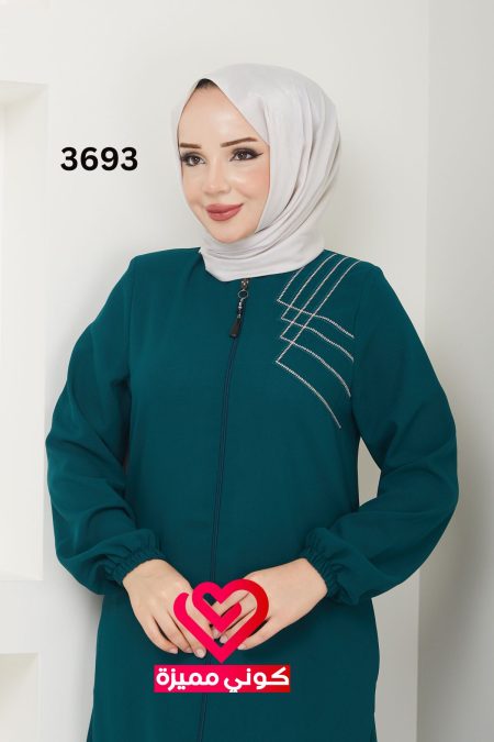 3693 (13)