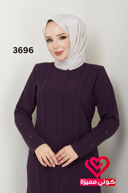3696 (12)