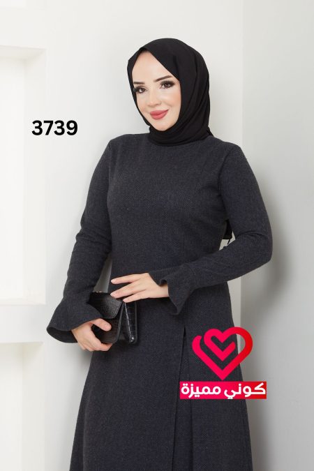 3739 (23)