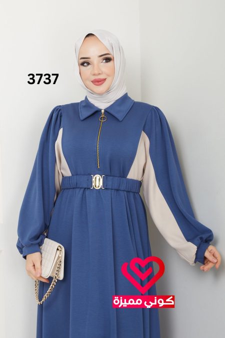 3737 (12)