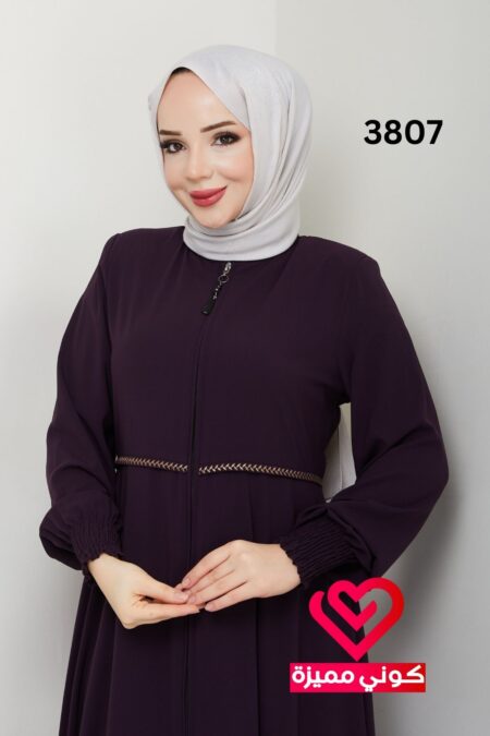 3807 (7)