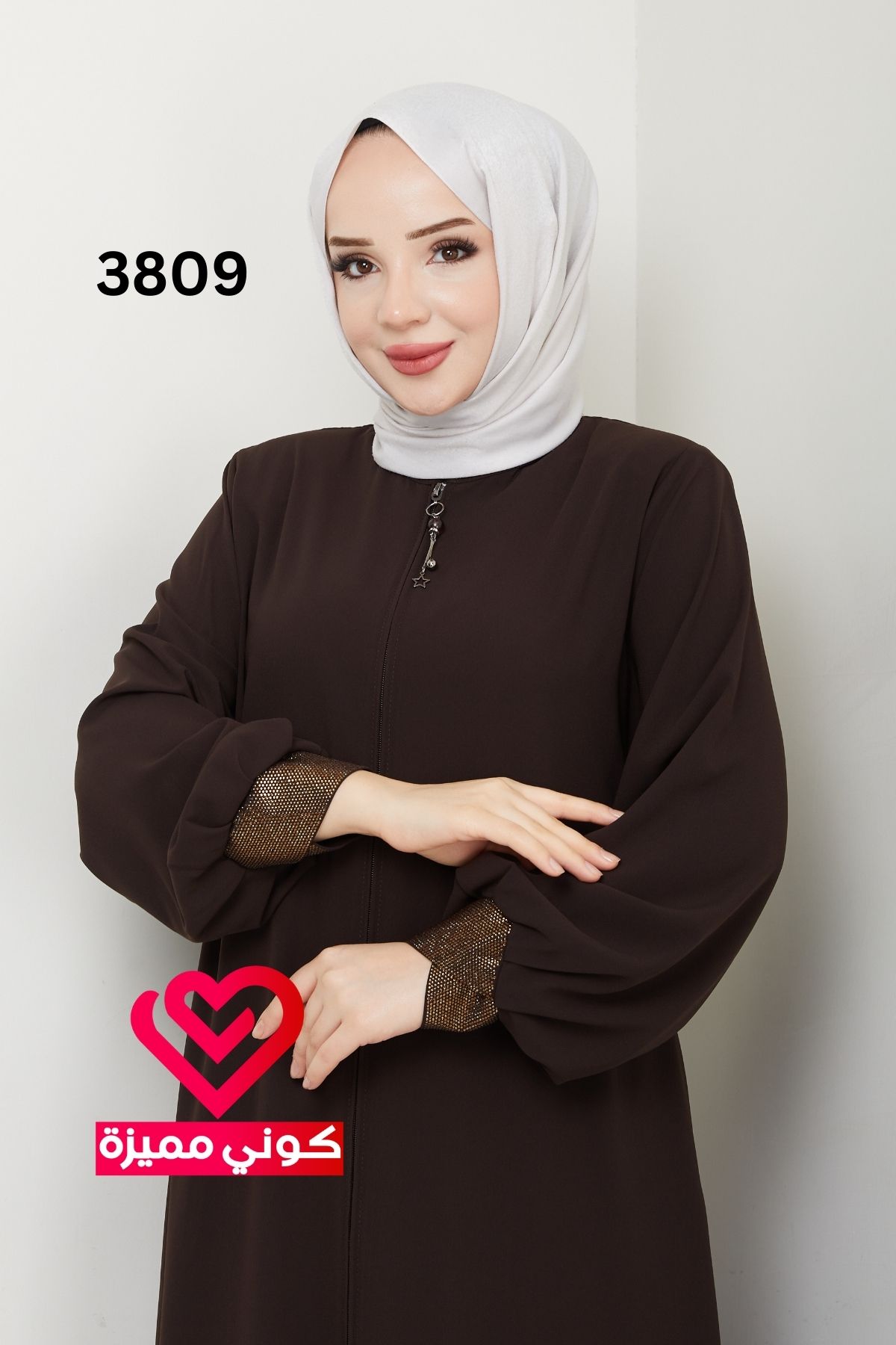 3809 (10)