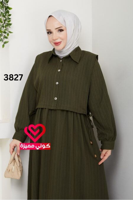 Copy of 3826 (9)